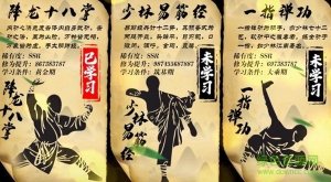 功夫也休闲解压来打拳 v2.0.31 Android版